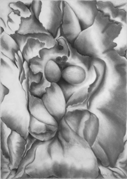 Click here to view HOMAGE TO MY GARDEN - PETALS by JULIA ZOLLMAN WICKES